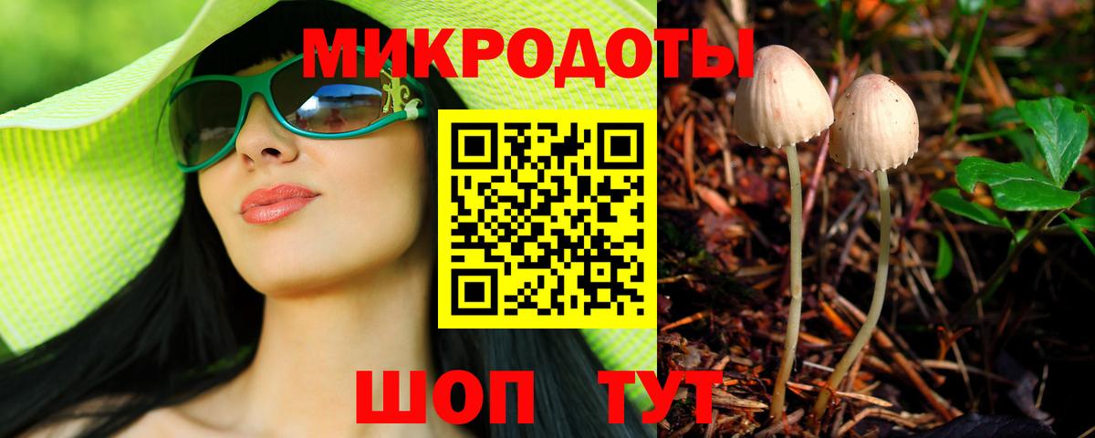 Псилоцибиновые грибы Psilocybine cubensis  Вход с VPN  Псилоцибиновые грибы мухоморы  Октябрьский 